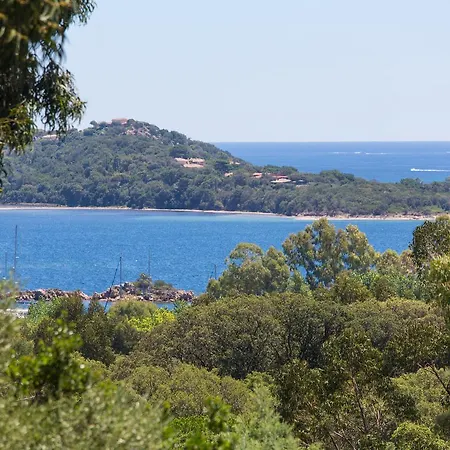 Royal Palm Apart-hotel