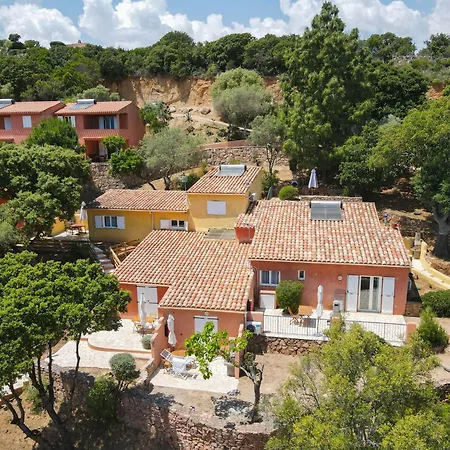 Aparthotel Royal Palm