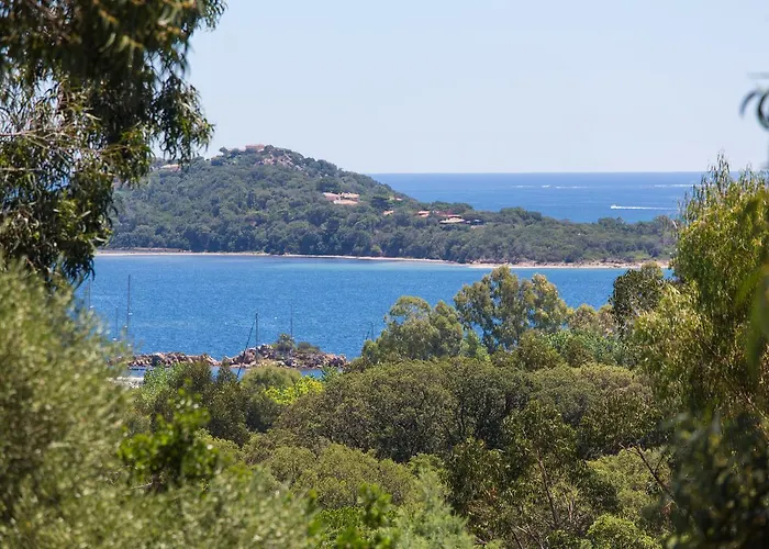 Royal Palm Aparthotel